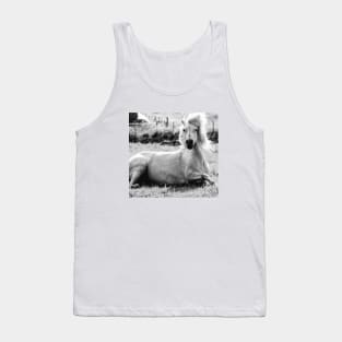 Icelandic Horse Tank Top